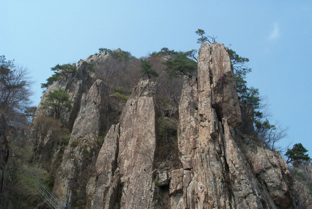 사용자 삽입 이미지