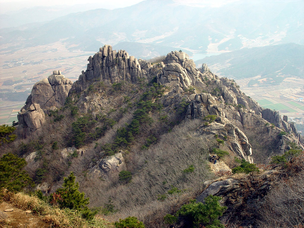 사용자 삽입 이미지