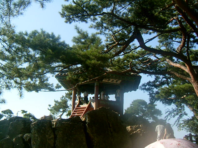 사용자 삽입 이미지