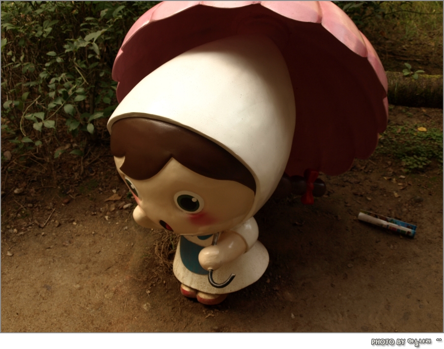 사용자 삽입 이미지