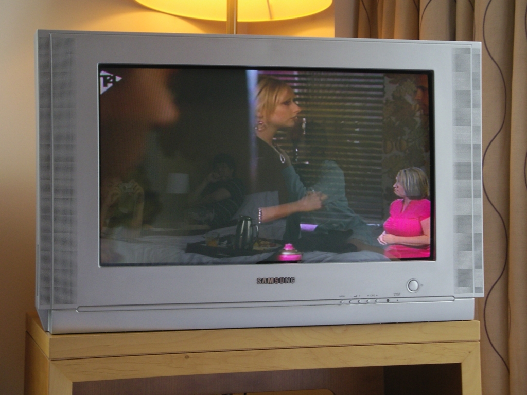 Watching TV Show ALONG WITH Sign Language Narrator
