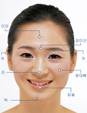 사용자 삽입 이미지