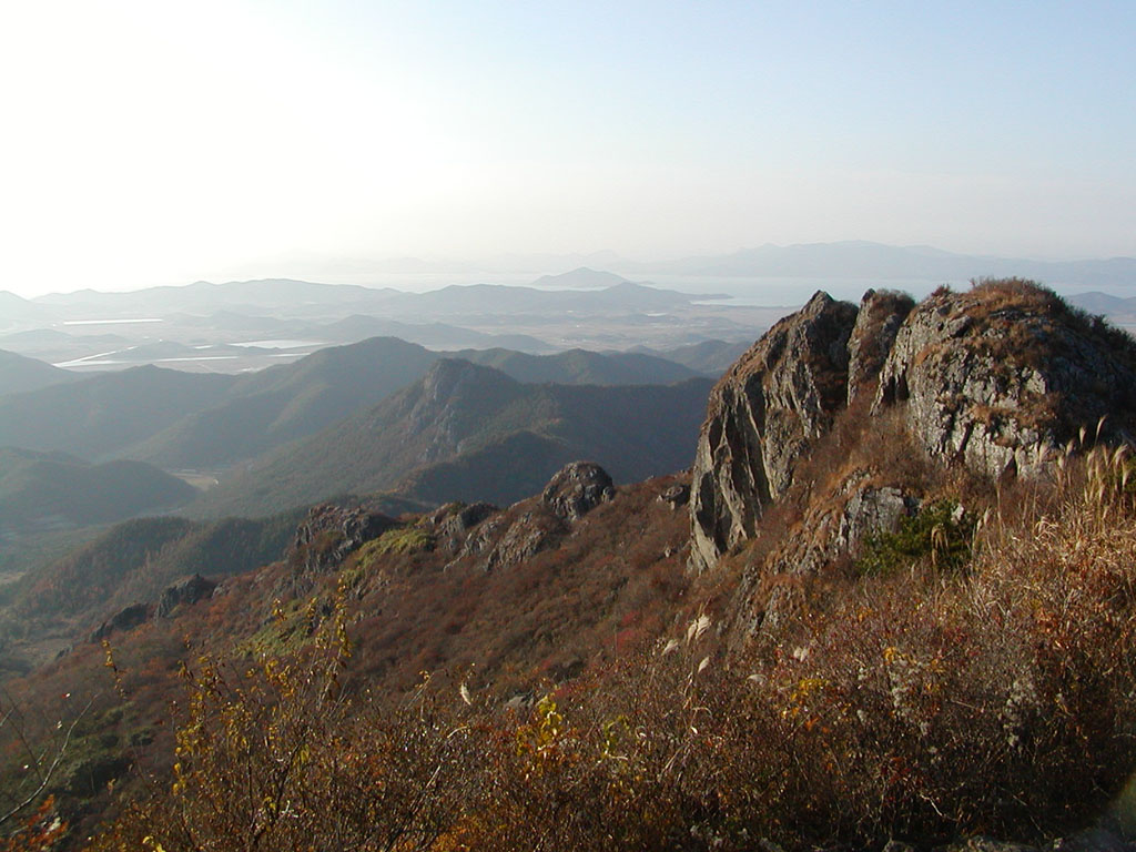 사용자 삽입 이미지