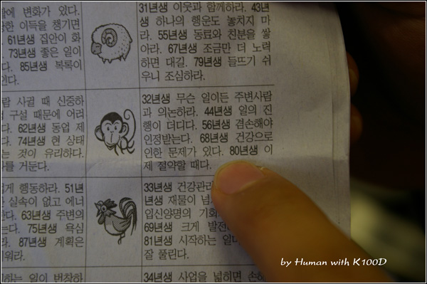 사용자 삽입 이미지